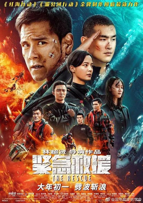 仿制假法国护照